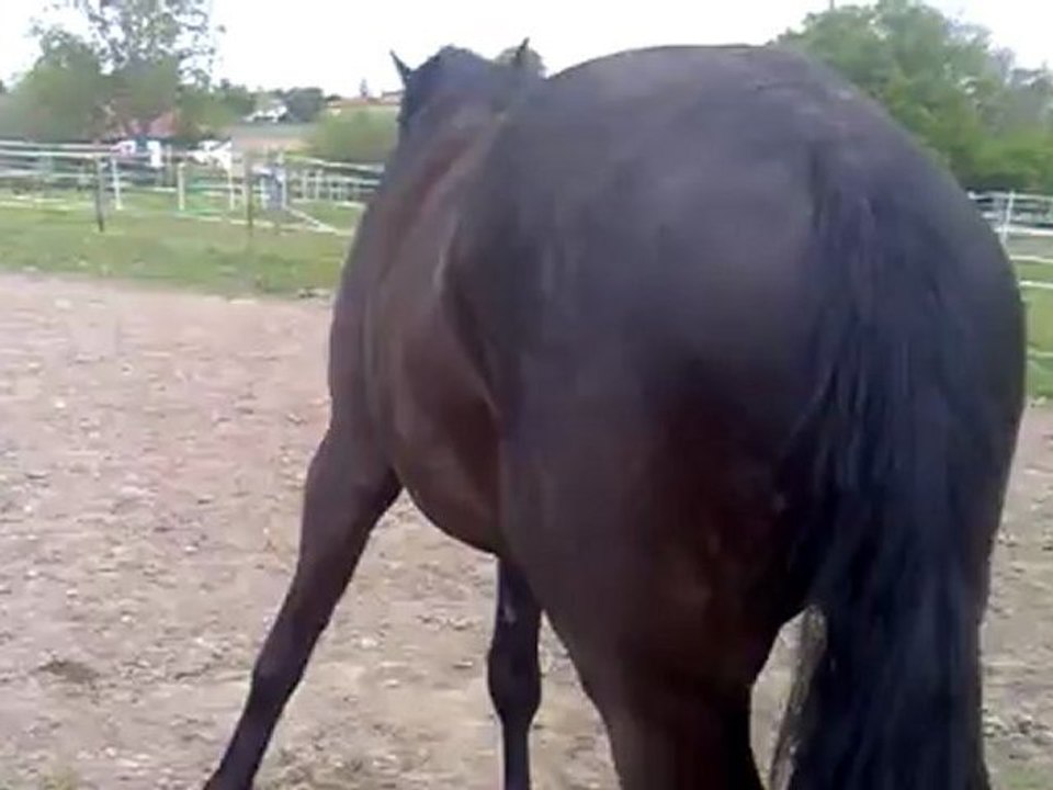 28042012058