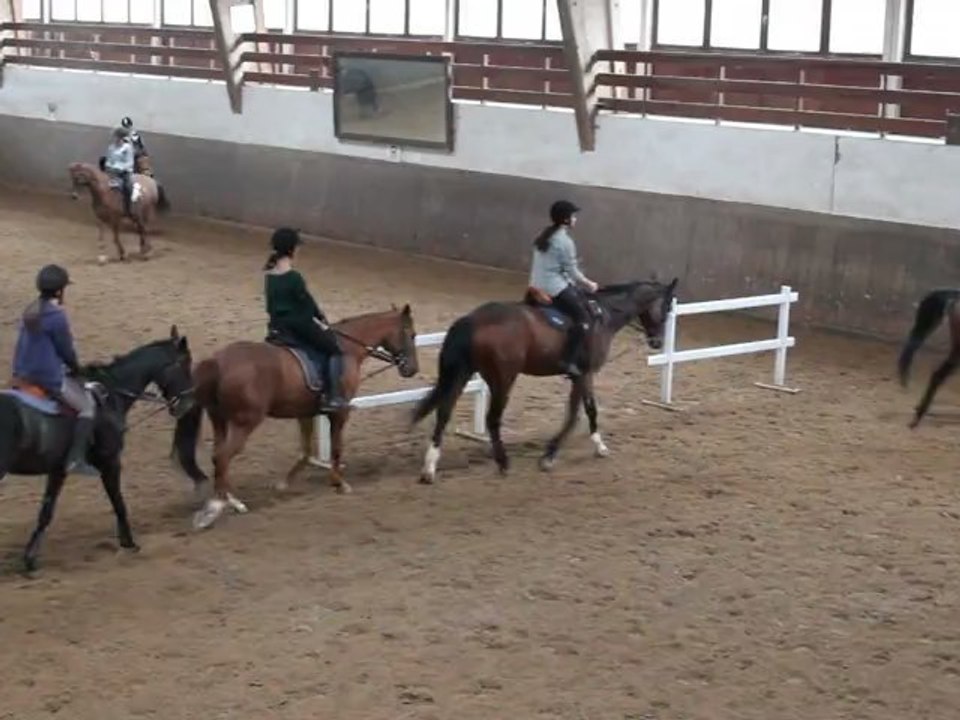 trot assis - reprise du 28/04/2012