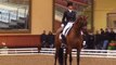 3. Jessica Michel (FRA)  & Riwera de Hus - CDI3* Saumur 2012/04/28 Grand Prix Spécial 71,022