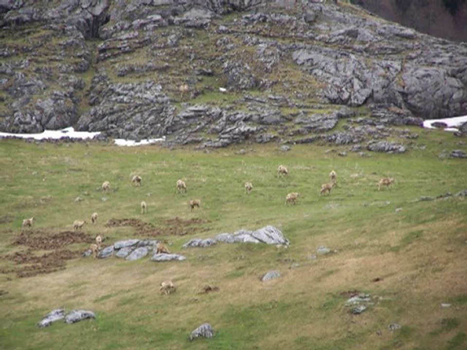 Tour des lacs d'Ayous avril 2012