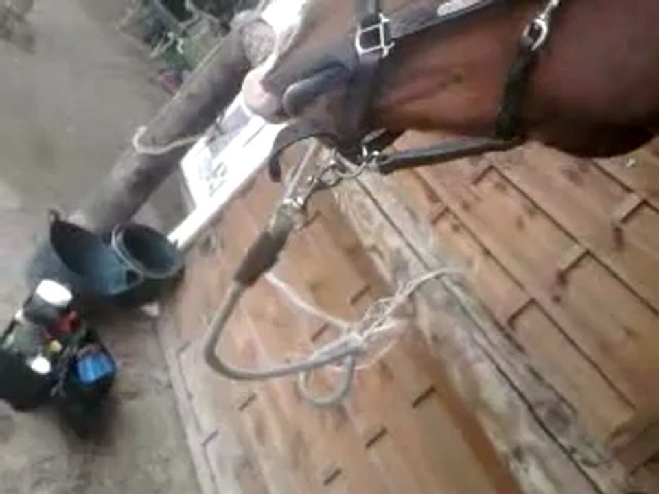 Vidéo0020
