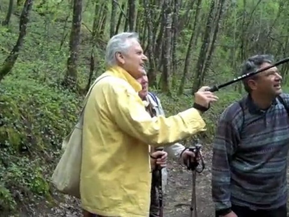 A pied en Morvan : St Moré-Vézelay-Corbigny