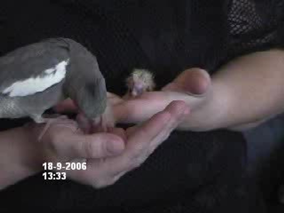 Test Video10