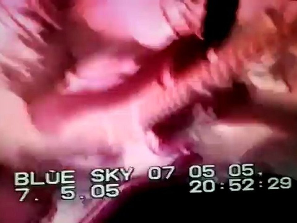 The Blue sky " Oranges Blossom spécial"