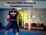 mixed martial arts training program
