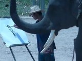 THAILANDE - Chiang Mai - un éléphant qui dessine !!
