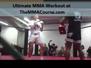 mma training programs