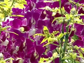 ms_kims_million_dollar_quest_-_06_part_2