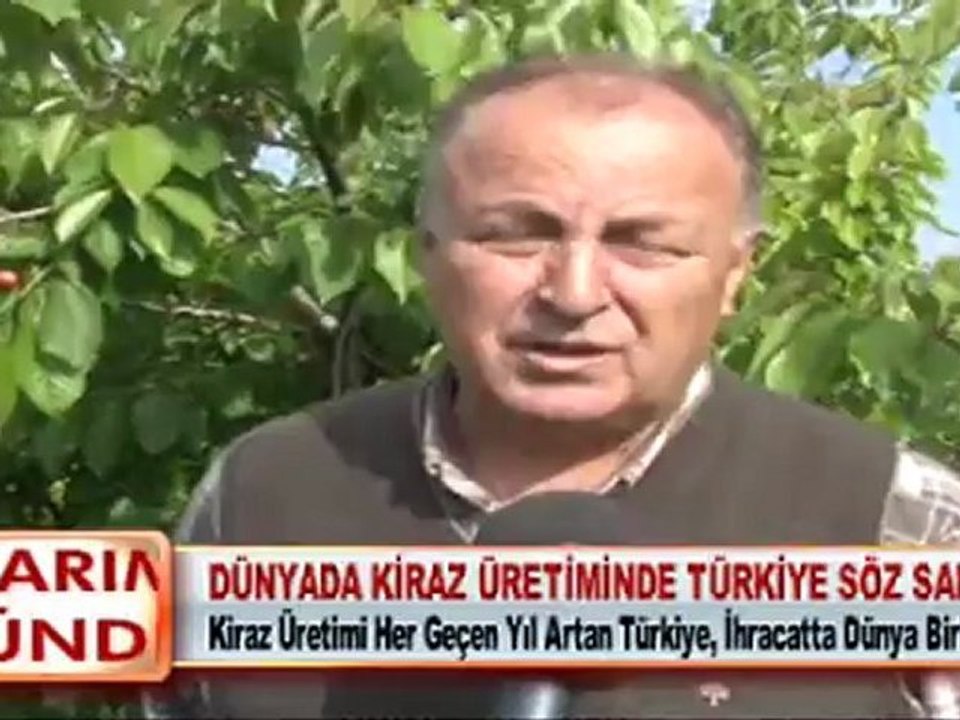DÜNYADA KİRAZ ÜRETİMİNDE TÜRKİYE SÖZ SAHİBİ 02.05.2012