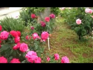 Karayolları 91. Şube Şeliği Yeni Görünümü