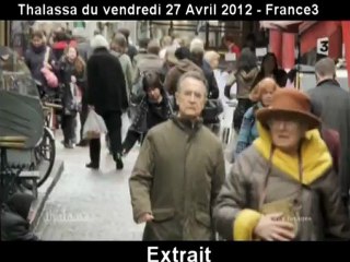 thalassa Non aux forages