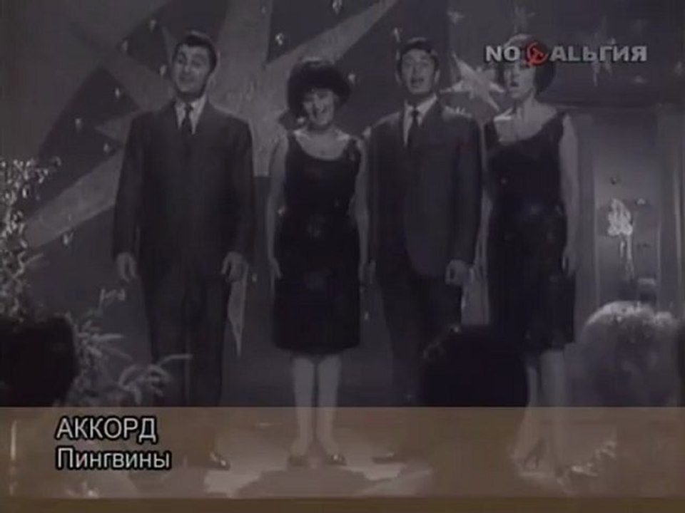Аккорд_Пингвины