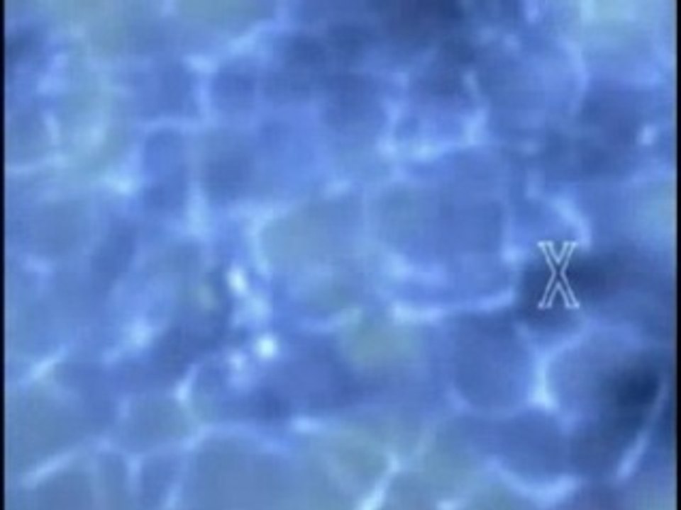 ffx