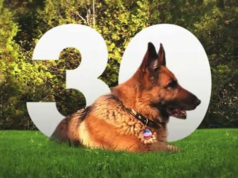 Sommaire émission 30 Millions d'Amis 6/5/2012