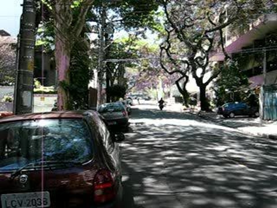 Skate Longboard