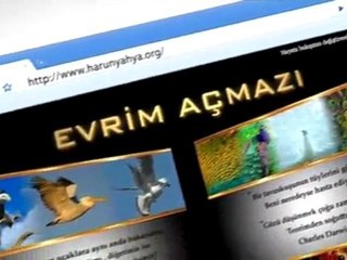DARWINİZMİ DÜNYA'DA FİKREN SN. ADNAN OKTAR YIKMIŞTIR