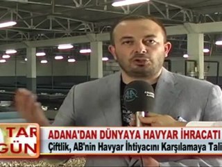 ADANA’DAN DÜNYAYA HAVYAR İHRACATI 30.04.2012