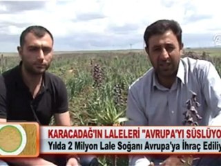 KARACADAĞ’IN LALELERİ AVRUPA’YI SÜSLÜYOR 30.04.2012