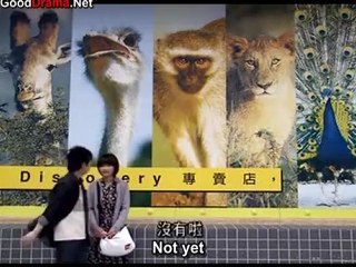 the_rose_-_13_part_1