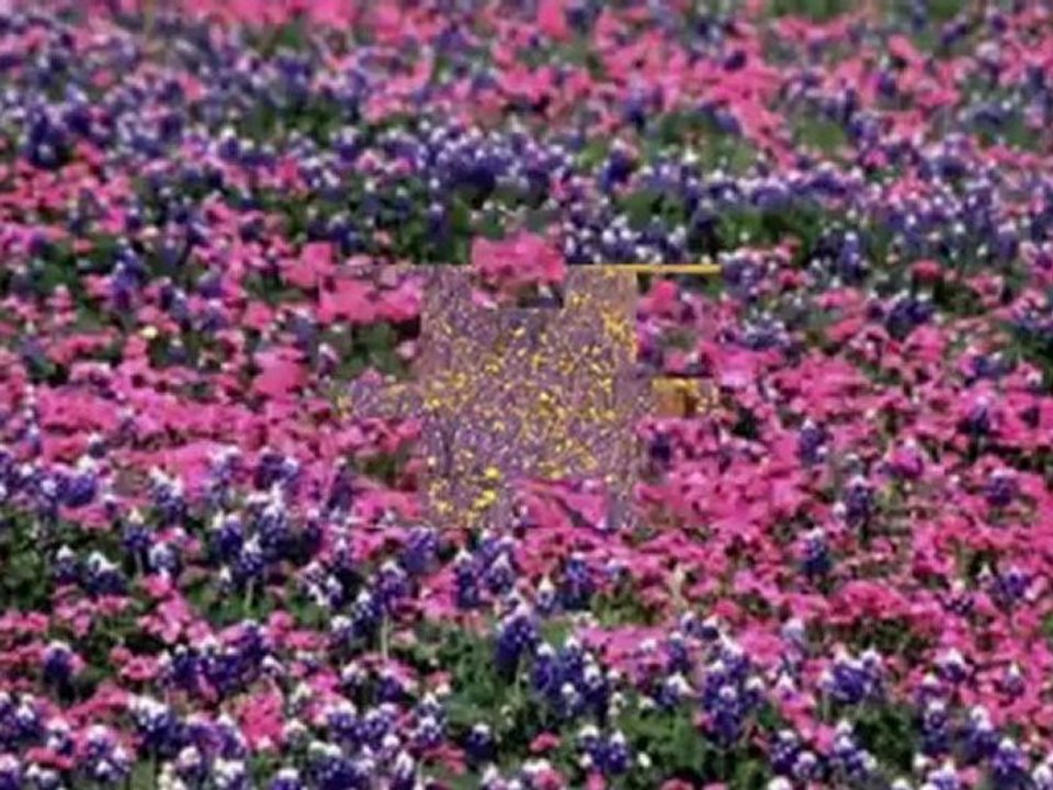 Orhan  HAKALMAZ  "AL  ELİNE  KALBİNİ  "