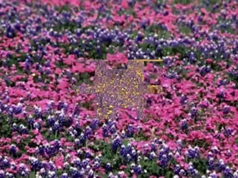 Orhan HAKALMAZ AL ELİNE KALBİNİ