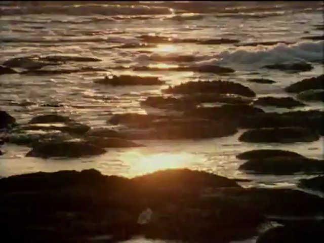 David Attenborough Élet a Földön