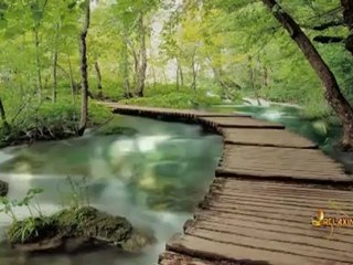 (Everything I Do) I Do It For You (Ft. Leann Rimes) female version Kenny G [with download link]