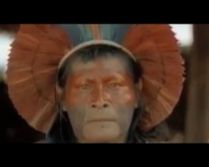 Les Citoyens du Monde Contre Belo Monte - Telle est la puissance d'internet