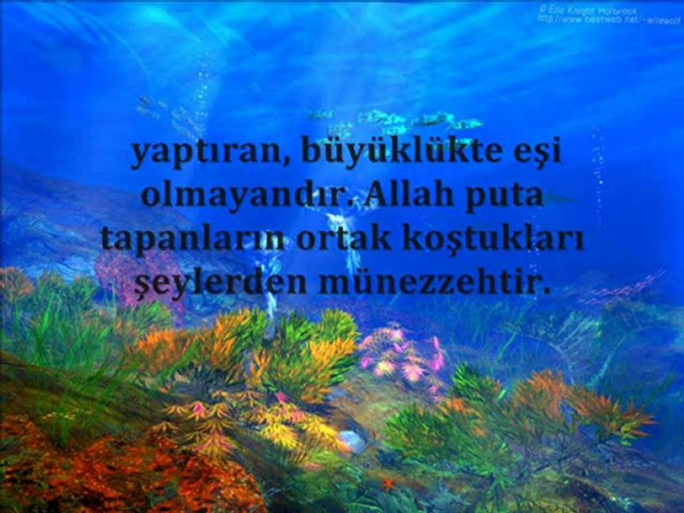 Haşr Suresi ( Dağlar Kaldırılıp Birbirine Vurdurulduğu Zaman )