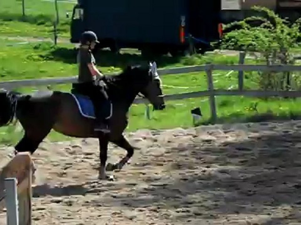 Phélicia - Galop - 28.04.12