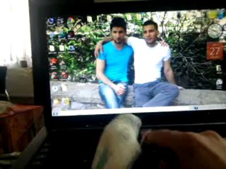 tatlı kuşum şeker