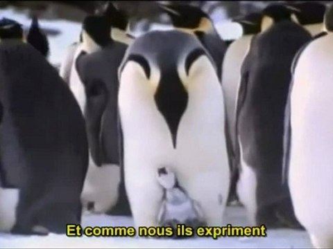 TERRIENS - EARTHLINGS 2de2