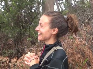 Vidéo de koala en Australie