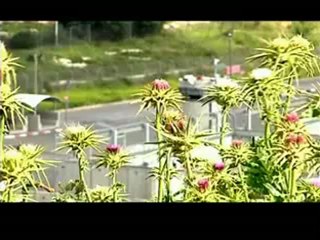 افلسطين هذا الصباح 29-4-2012_chunk_1