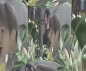 Tujhe bhula diya lost love_mpeg4