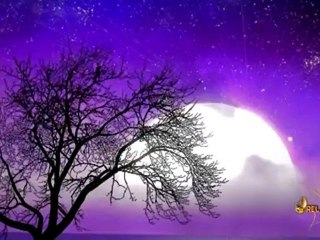 The Wedding Song - Kenny G [high quality download link]