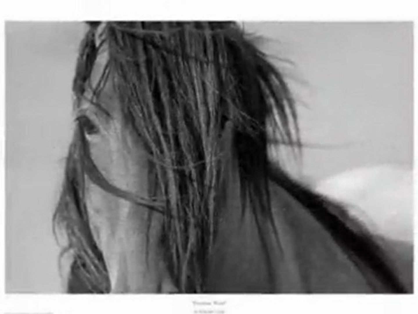 ⁣Running Horses