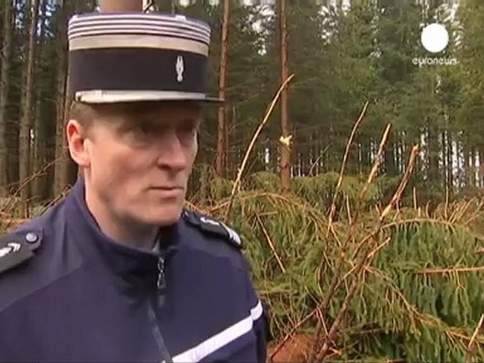 France : les vents violents provoquent de nombreux dégâts