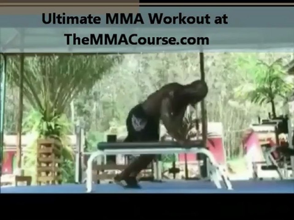 mma training dvds