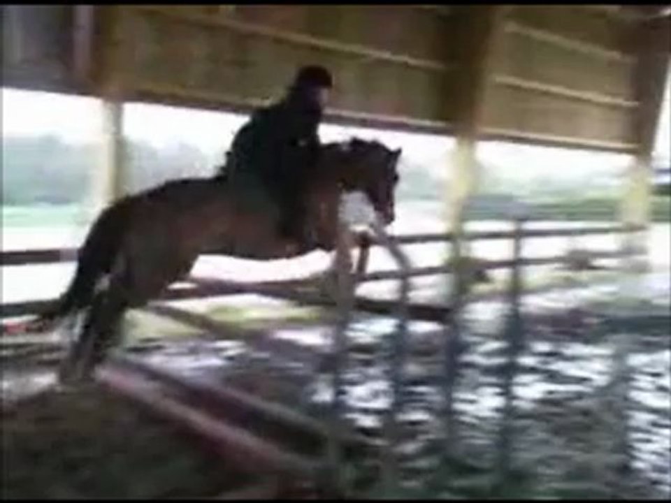 Clara et Sultan