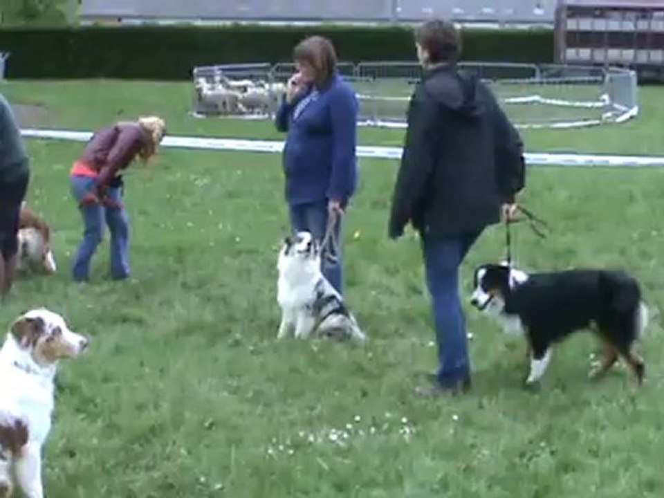 CANT NE 2012 Grimm et Gun