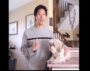 Should You Be A Pet Owner?