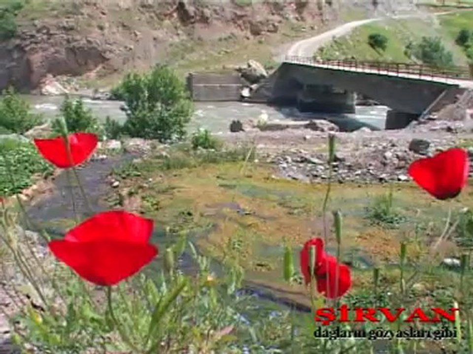 sirvan vcd 2