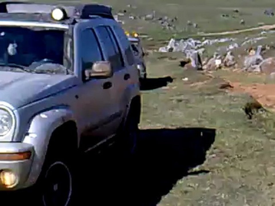 29042012011