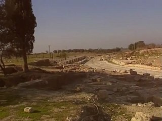 Visit to the Sanctuaries of Apollo