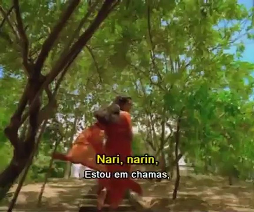 HISHAM ABBAS - NARI NARIN traducao pt br