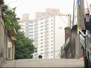 attic_cat_-_12_part_2