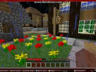 presantation du serveur orylis 2e map