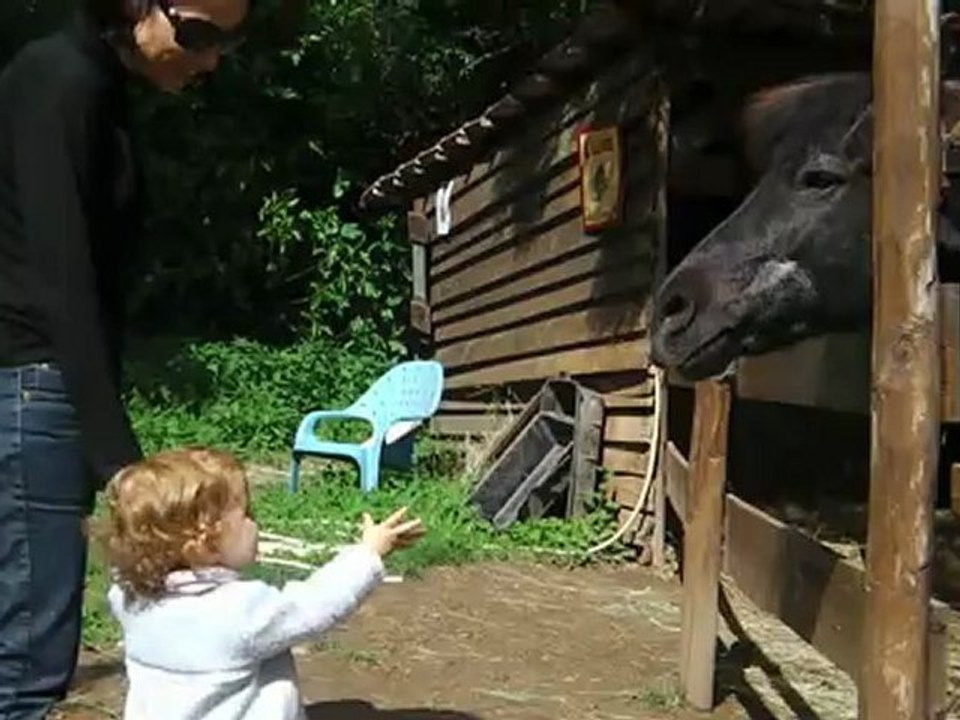 Au revoir le poney