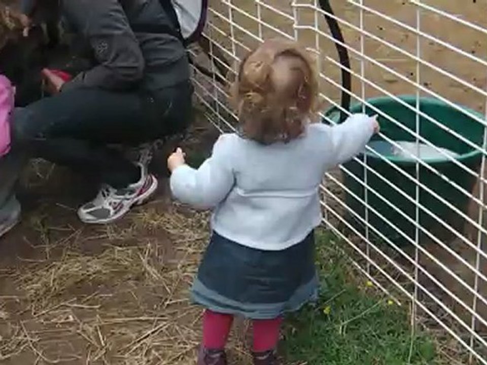 Elise et la chèvre
